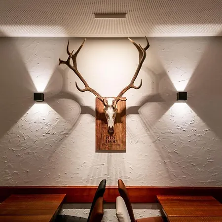 Otel Binders Budget City-mountain İnnsbruck