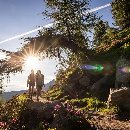 酒店 Binders Budget City-mountain