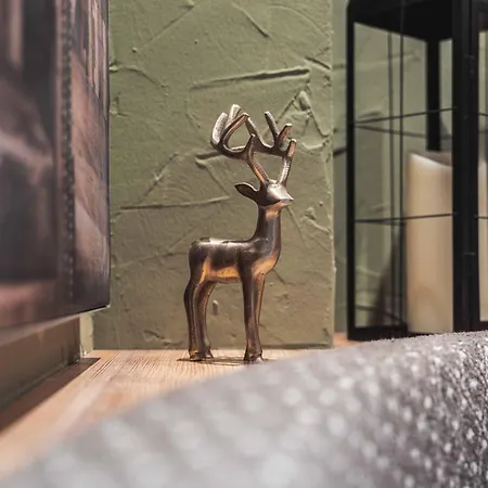 Binders Budget City-mountain 酒店 因斯布鲁克