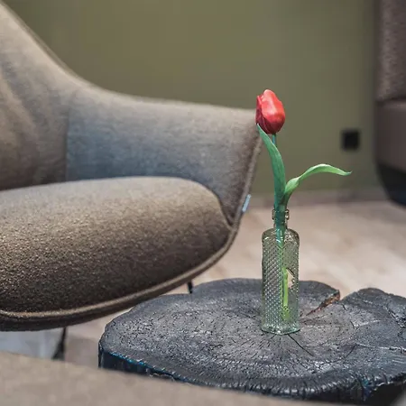 酒店 Binders Budget City-mountain 4*