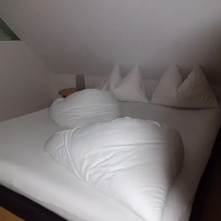 Otel Binders Budget City-mountain 3*