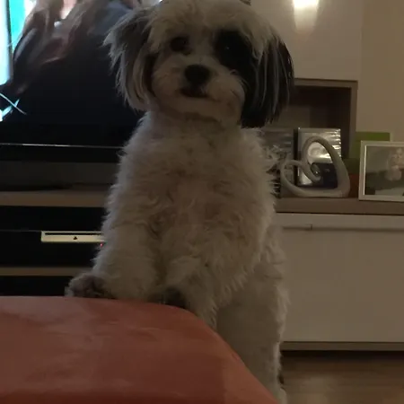 Binders Budget City-mountain Hotel Innsbruck