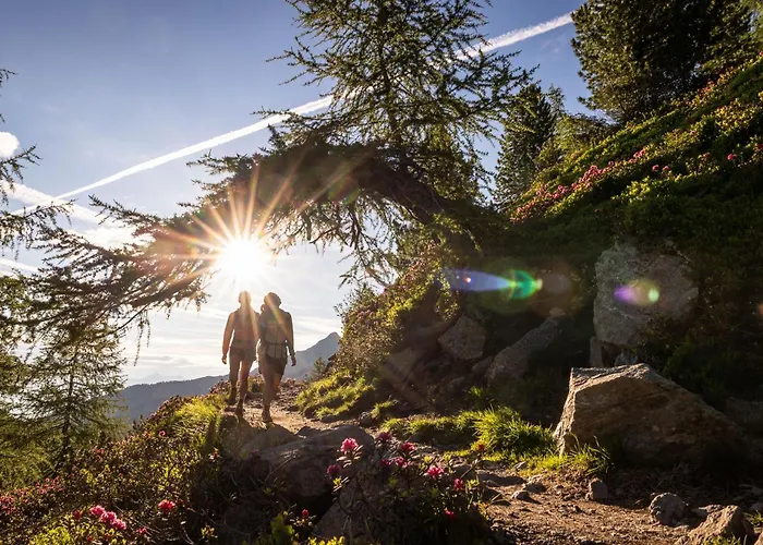 فندق Binders Budget City-mountain