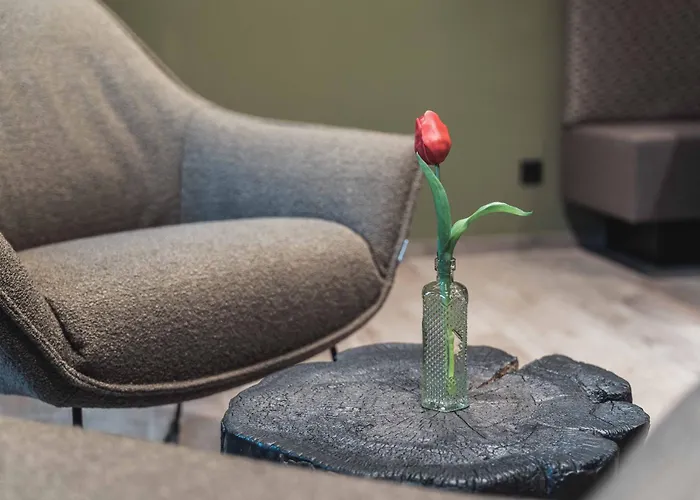 מלון Binders Budget City-mountain 4*