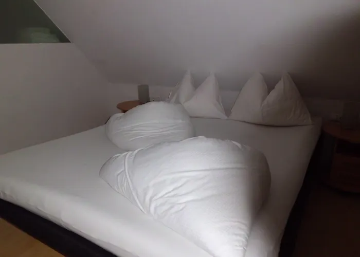 מלון Binders Budget City-mountain 4*