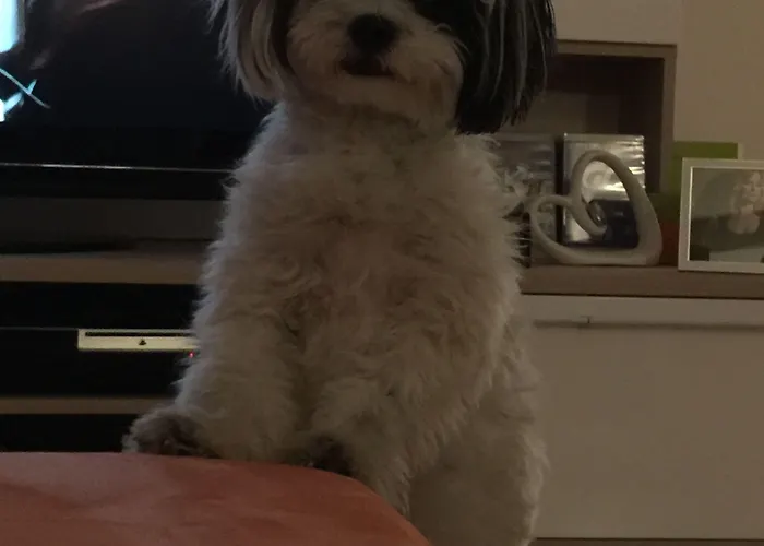 Binders Budget City-mountain מלון אינסברוק