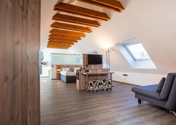 Binders Budget City-mountain 4* אינסברוק